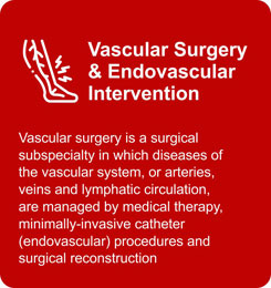 Vascular-Surgery